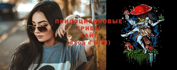 хмурый Белая Холуница