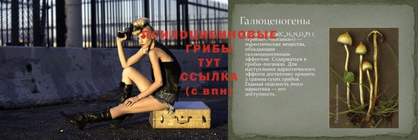 прущий лед Бежецк