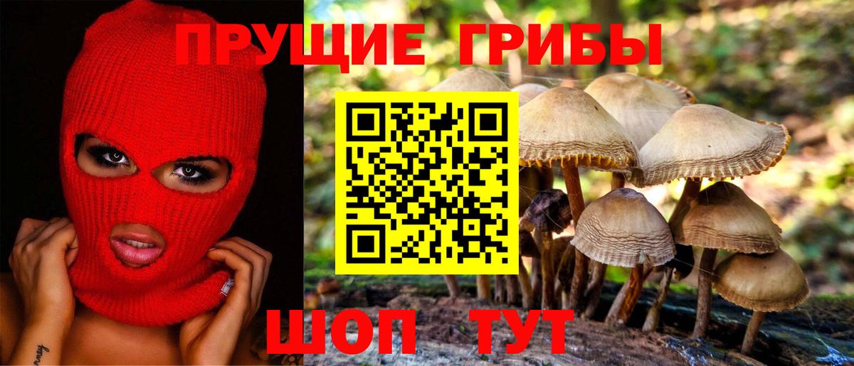 Псилоцибиновые грибы Psilocybe  Галлюциногенные грибы ЛСД  купить наркоту  Саратов  Вход с VPN 